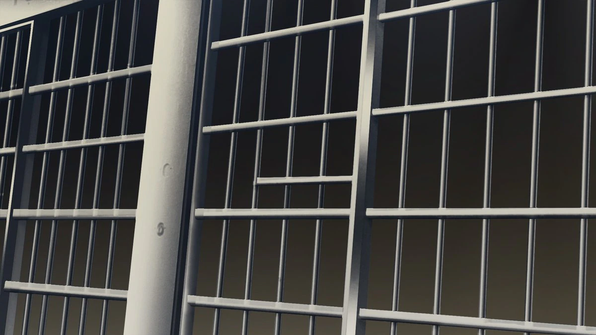 Lincoln man sentenced to prison for child pornography conviction - Vimarsana News