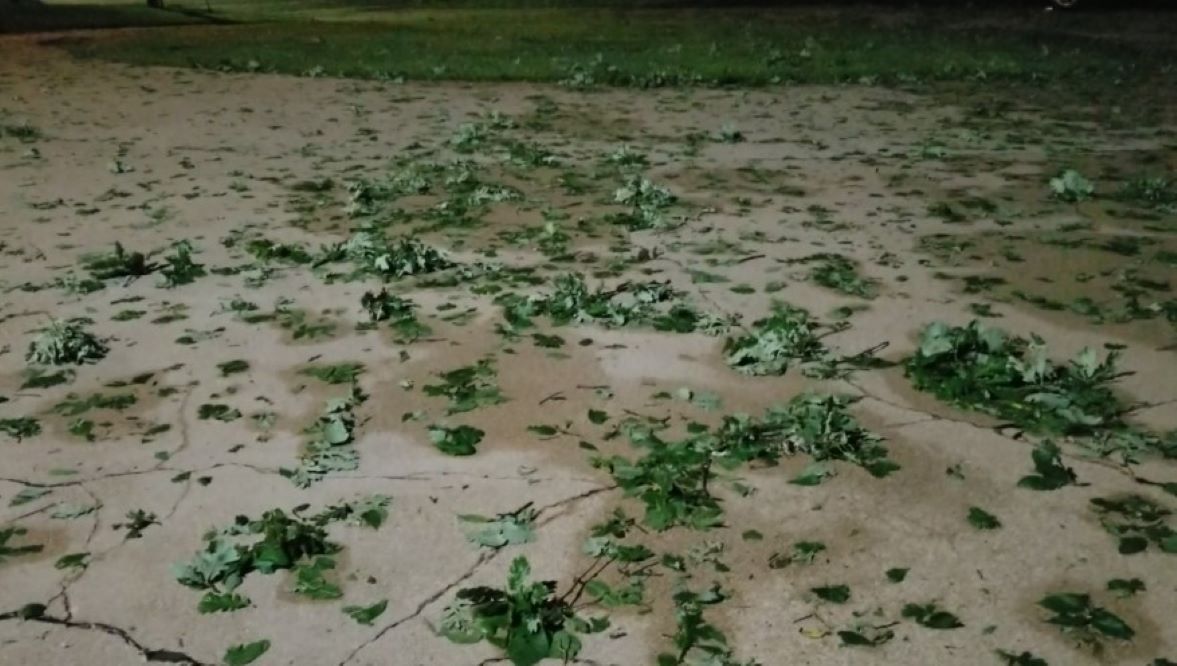 Hail, high winds pound southern Nebraska, northern Kansas - Vimarsana News
