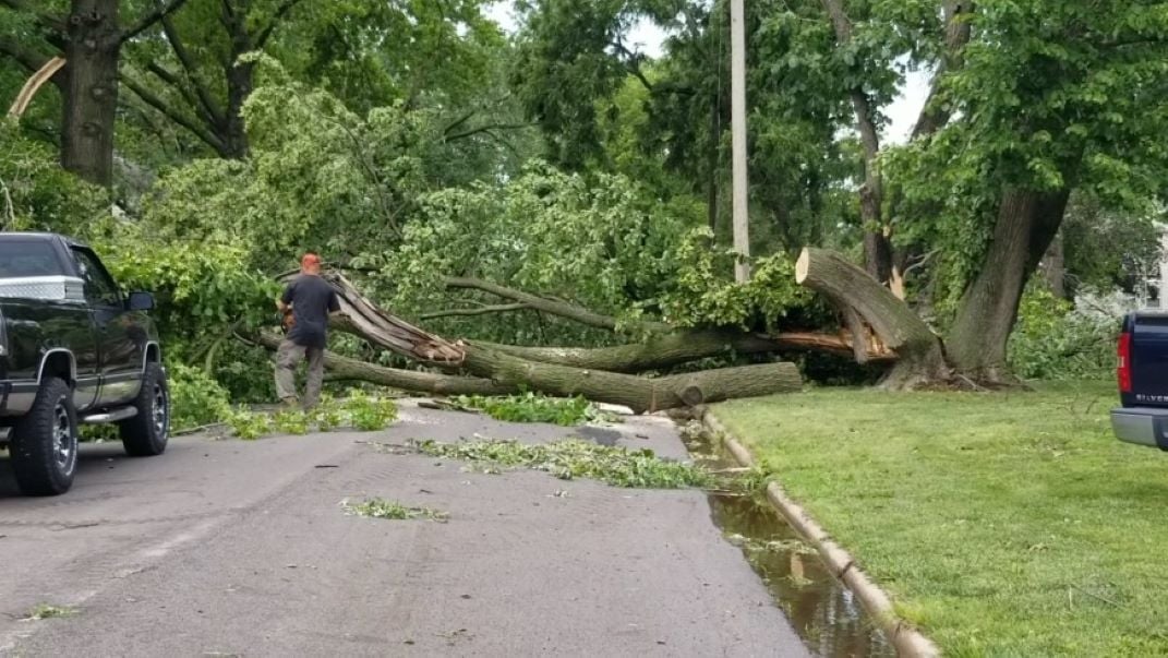 Cutting apart downed tree in Wymore