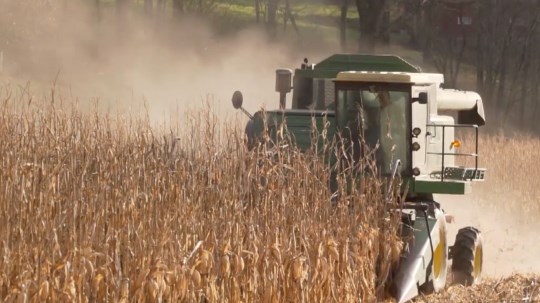 Harvest wrapping up in southeast Nebraska, bean harvest down - Vimarsana News
