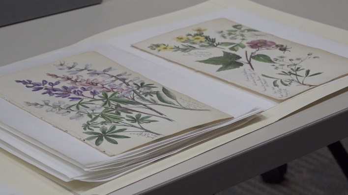 Paintings of Doane's founder's sister focus of research project 150 years later - Vimarsana News