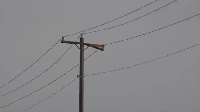 High winds impacting travel, power lines - Vimarsana News
