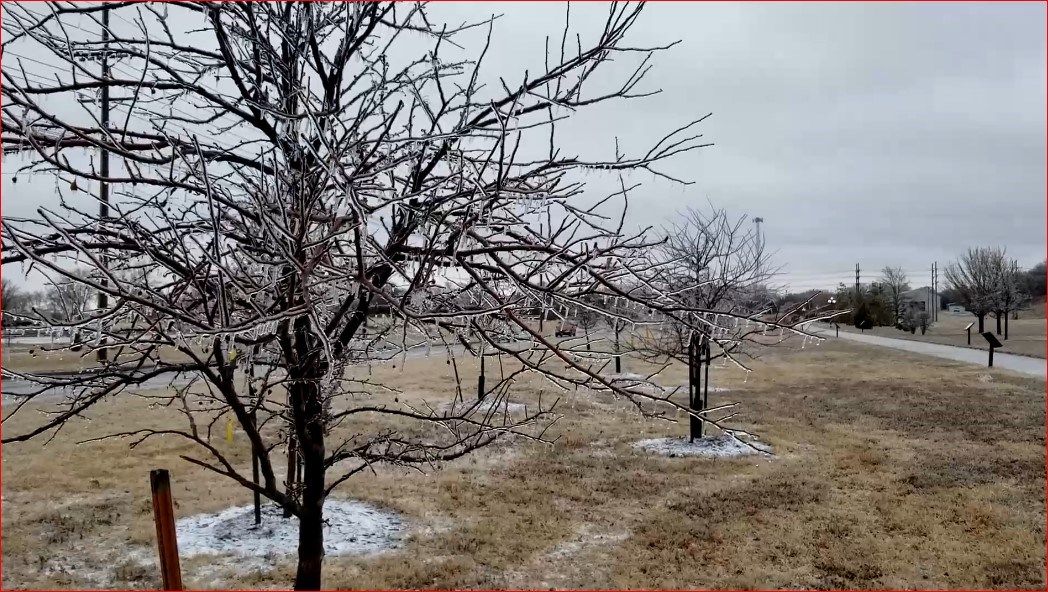 Ice coated branches and lines, Wednesday