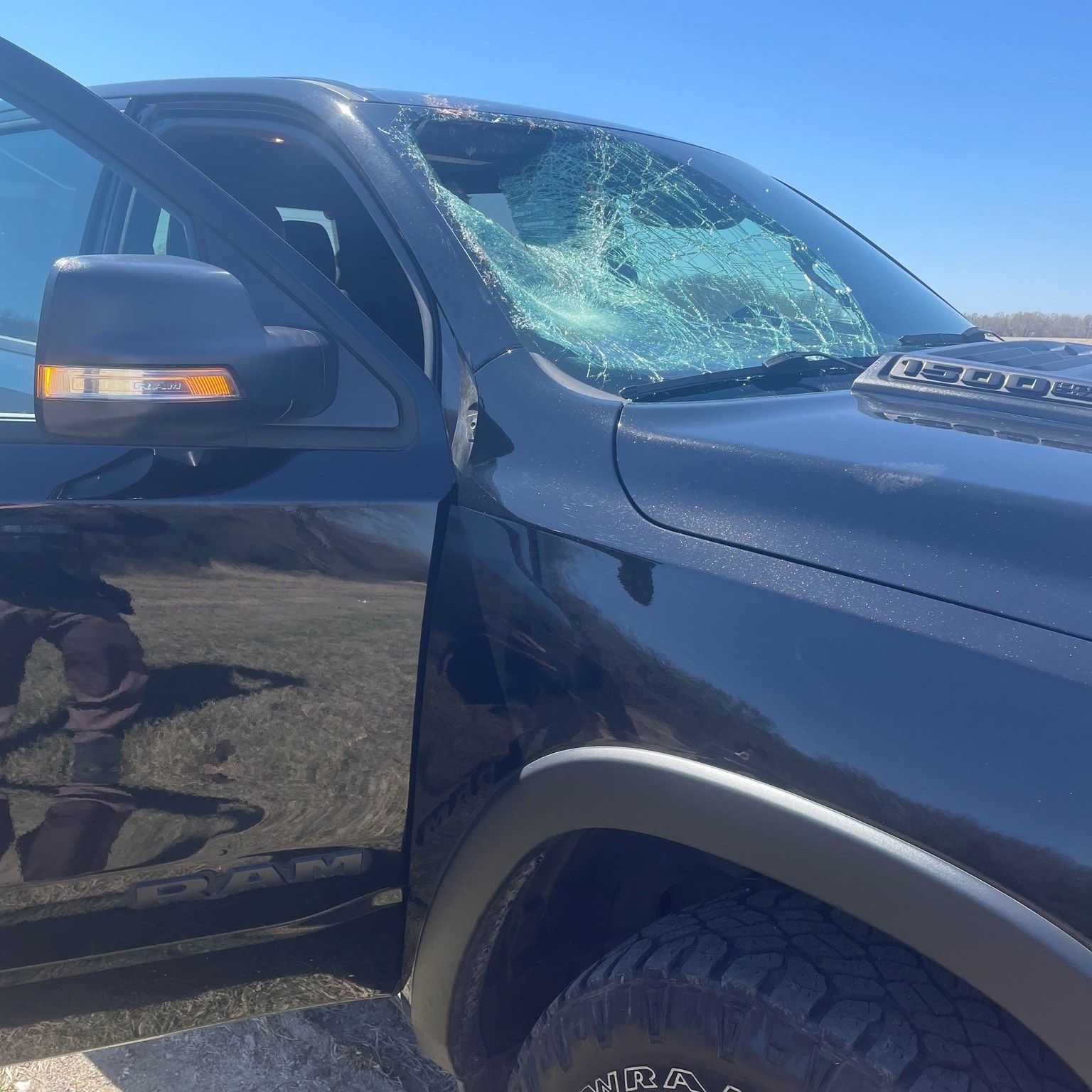 Turkey collides with pickup truck, LSO reminds public to stay alert for ...