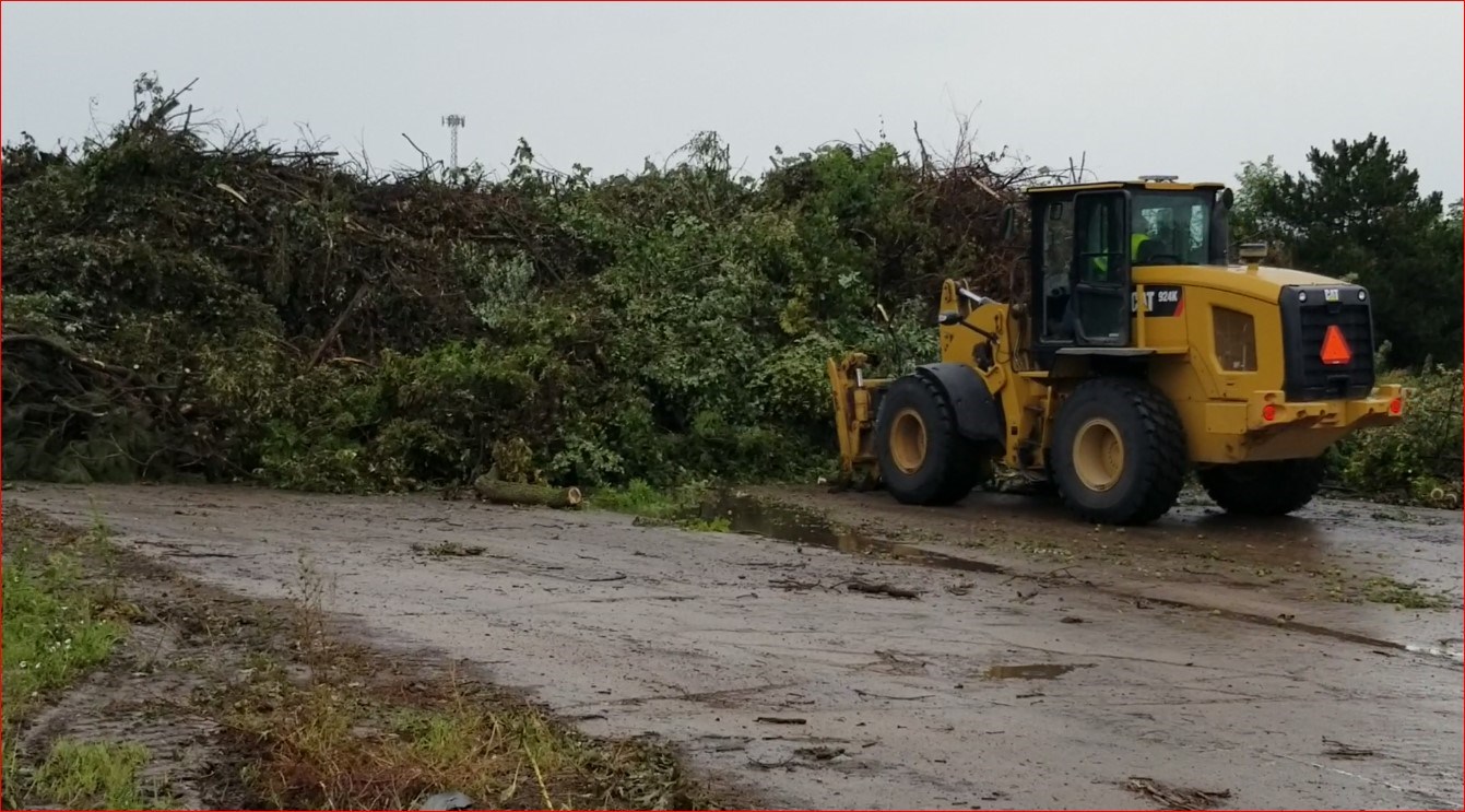 One last day for no charge tree debris drop off site in Beatrice