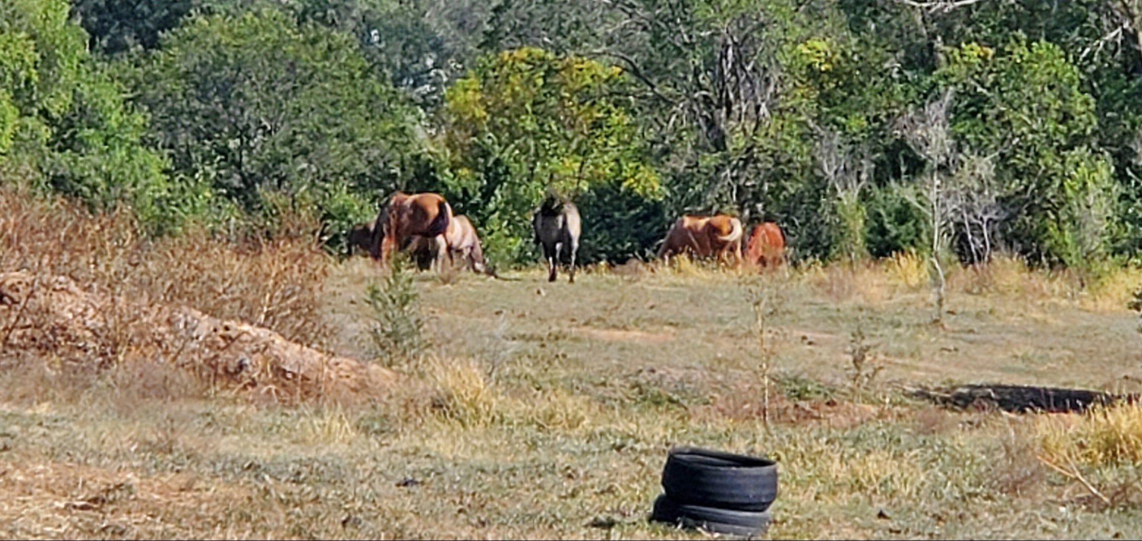 (Photo: Gage County Sheriff's Office)