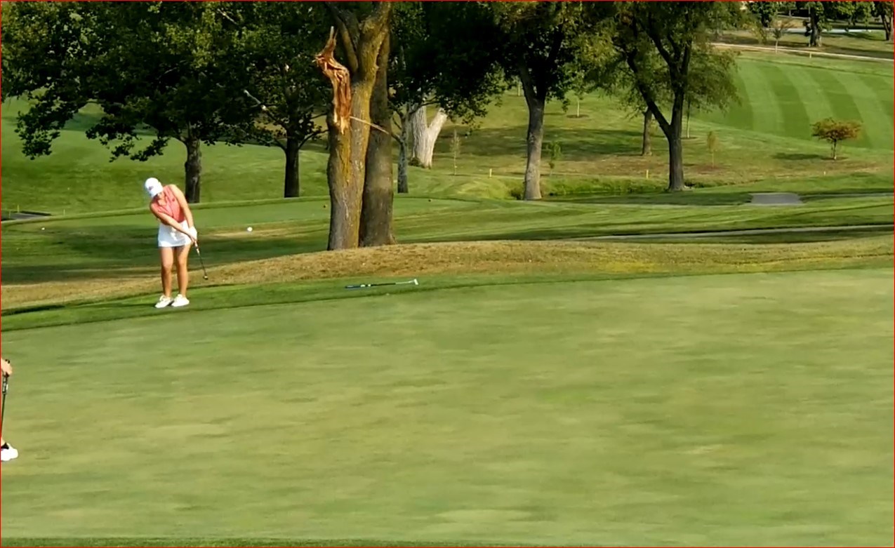 Chip shot to hole 3, at BCC