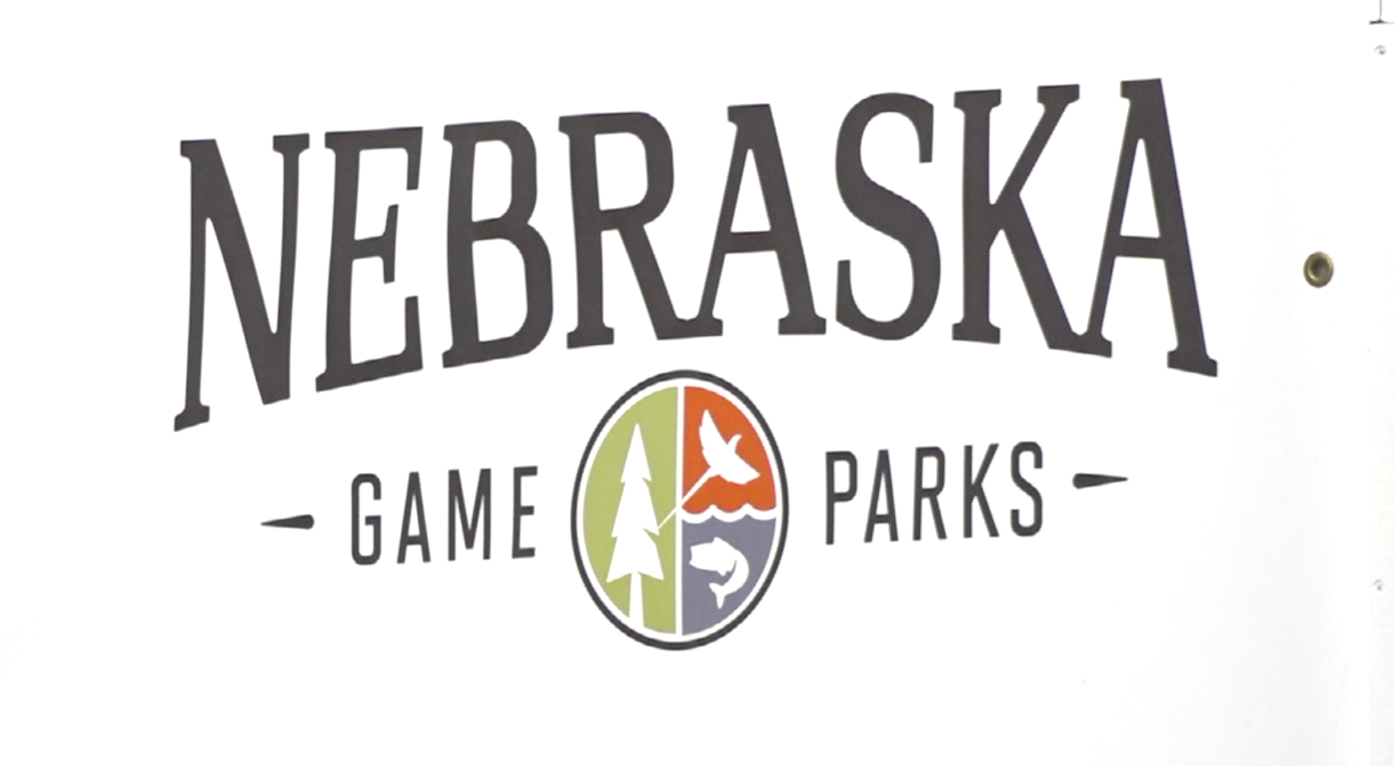 Nebraska Game and Parks accepting applications for watchable wildlife grants
