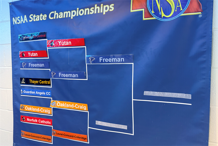 Freeman advances to state final after sweep of Yutan